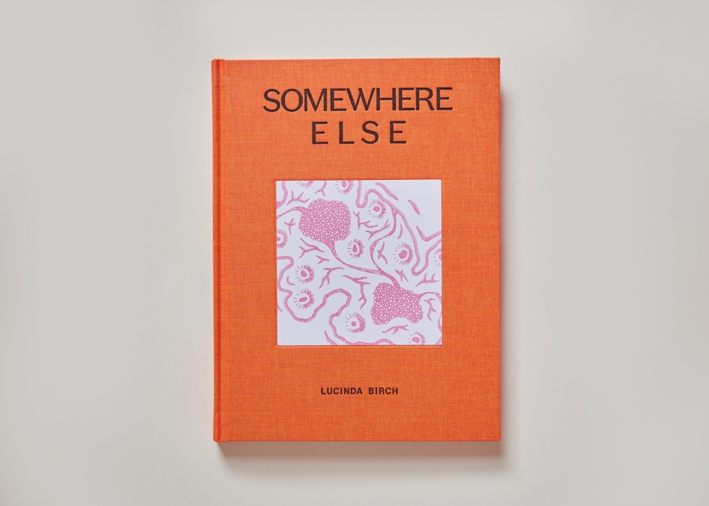 “Somewhere Else”, a book by Lucinda Birch